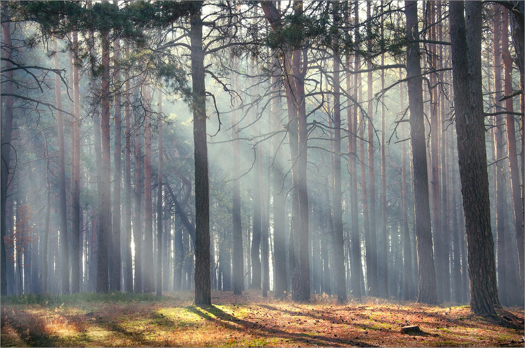 Die Strahlen der Herbst