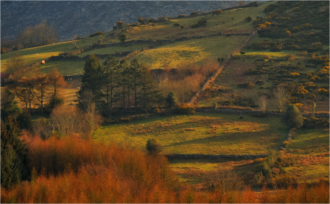 ... Im Abendlicht ...