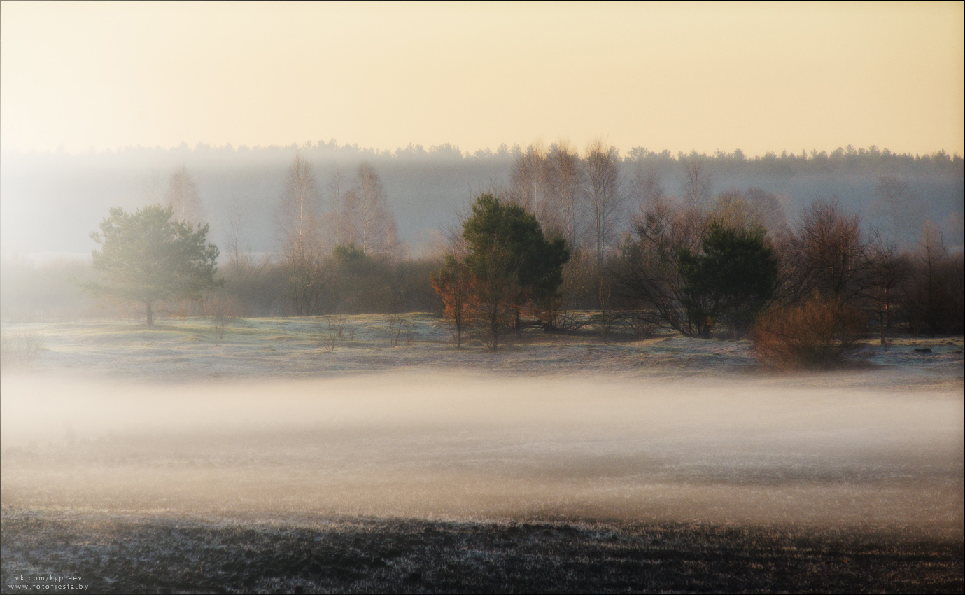 Frühling Nebel