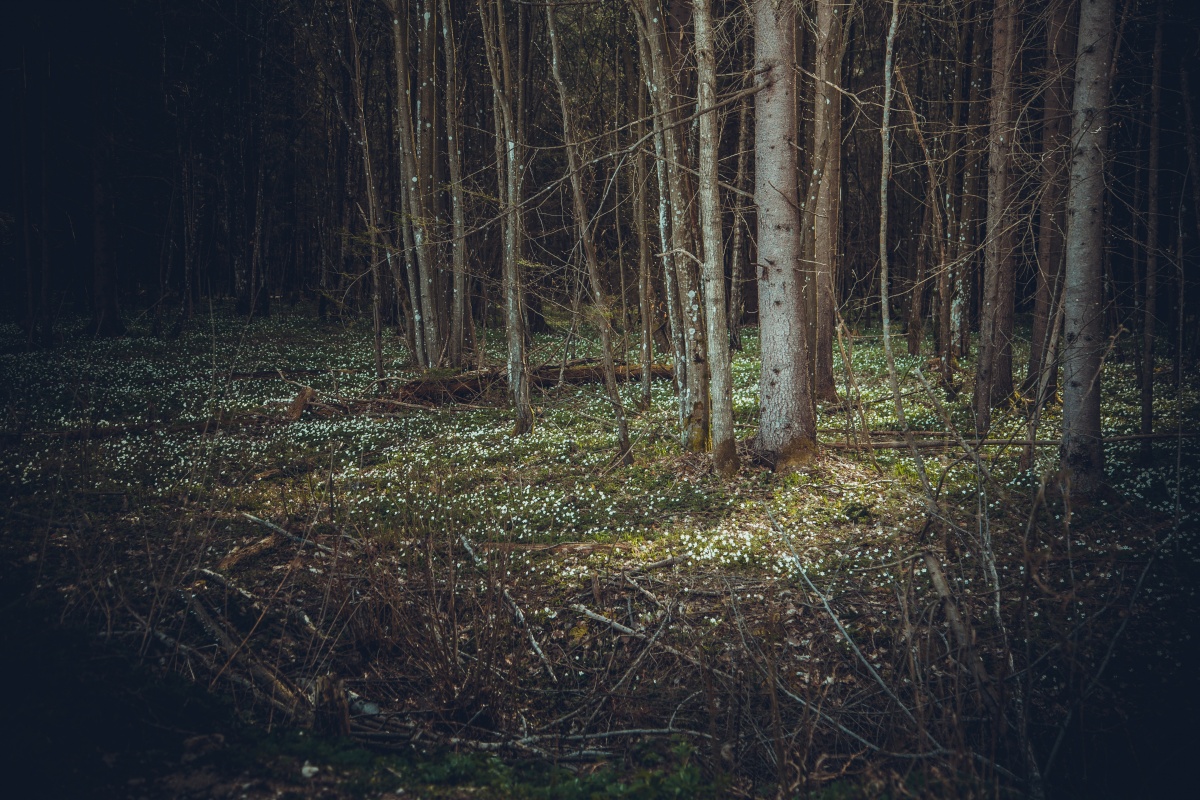 Ruhig, nur beruhigen