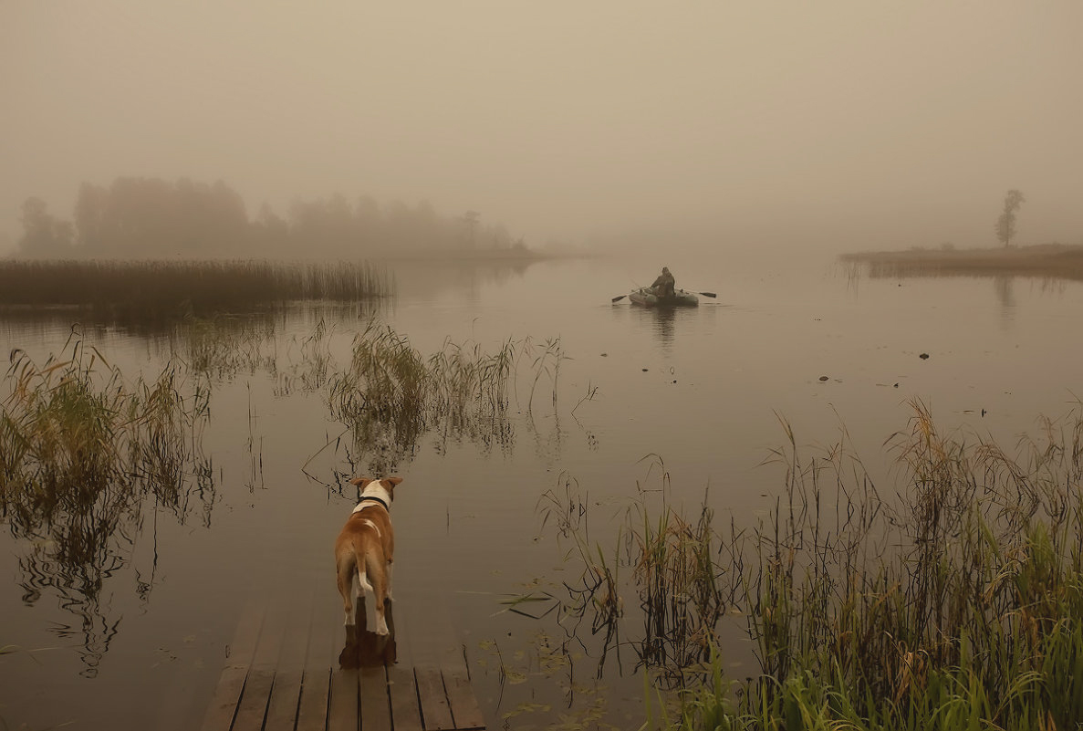 Ruhig, nur beruhigen