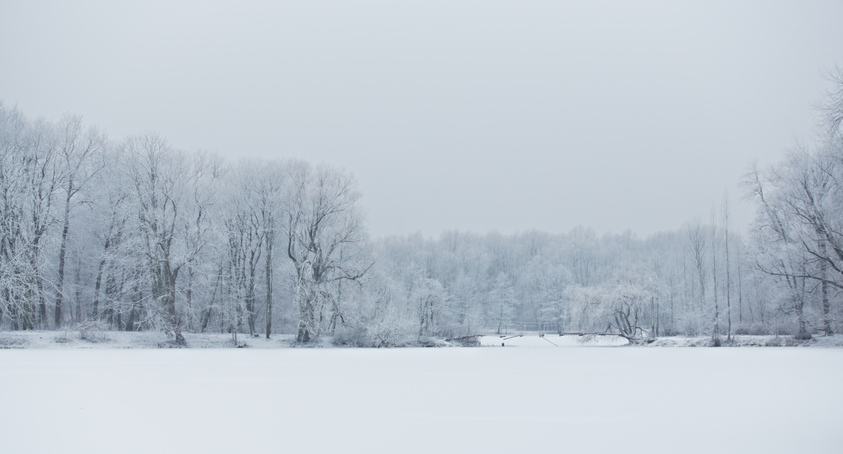 Ruhig, nur beruhigen