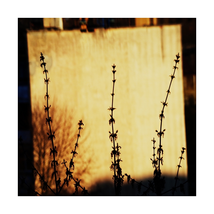 Ruhig, nur beruhigen