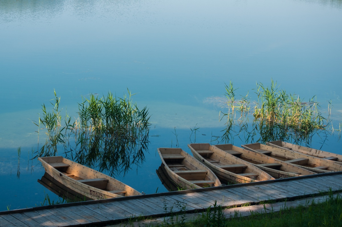 Ruhig, nur beruhigen