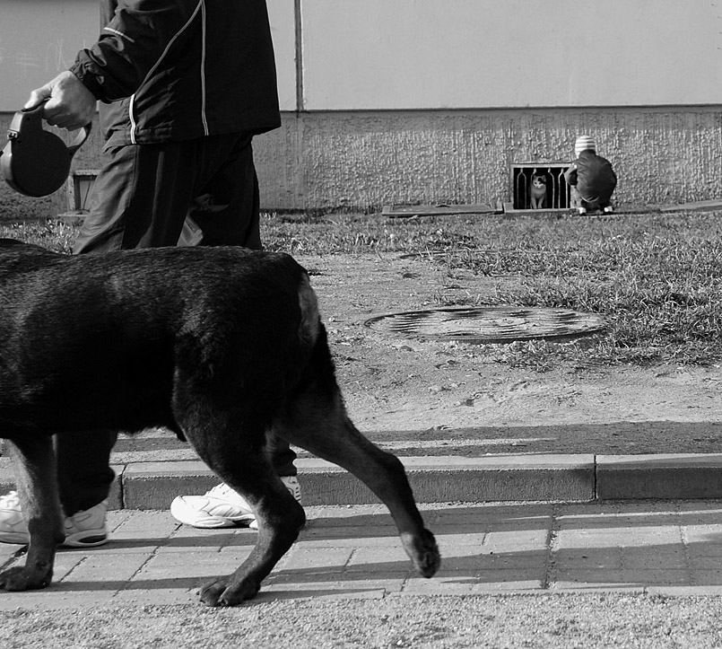 Ruhig, nur beruhigen