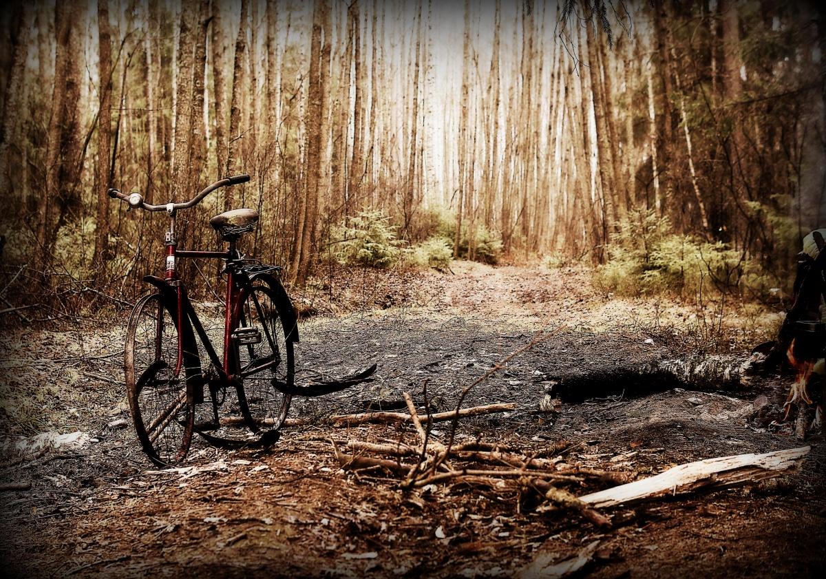 Ruhig, nur beruhigen