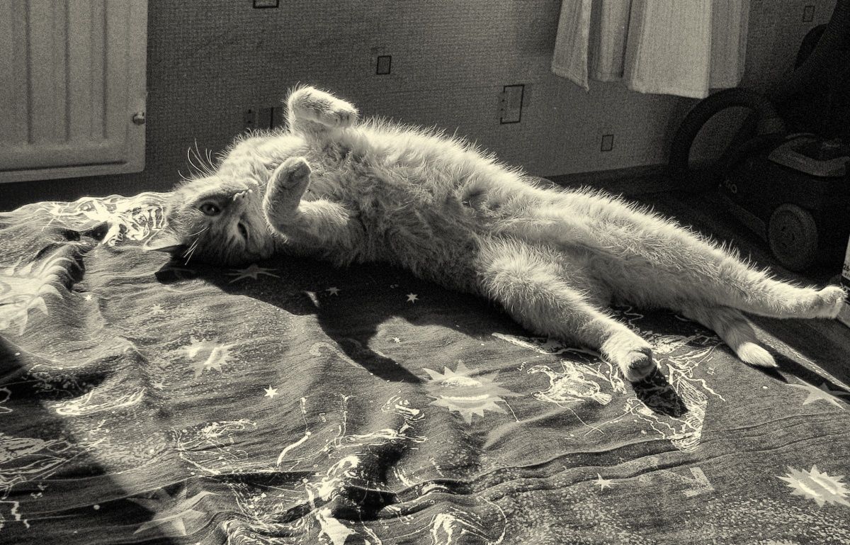 Ruhig, nur beruhigen