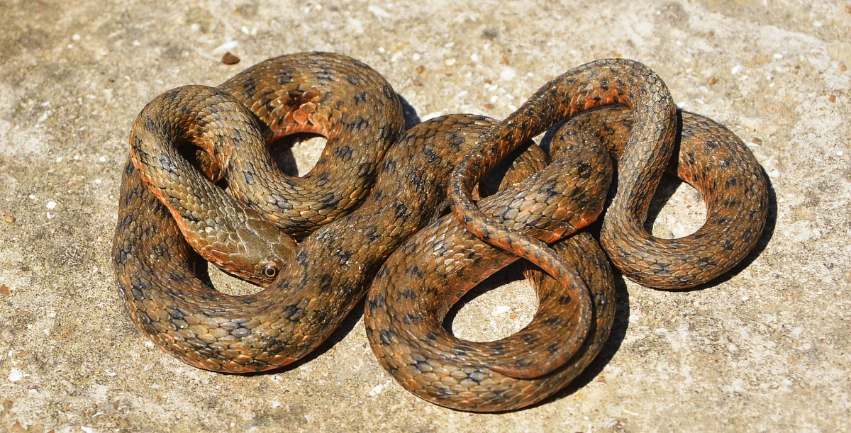 Ruhig, nur ruhig auf der Straße