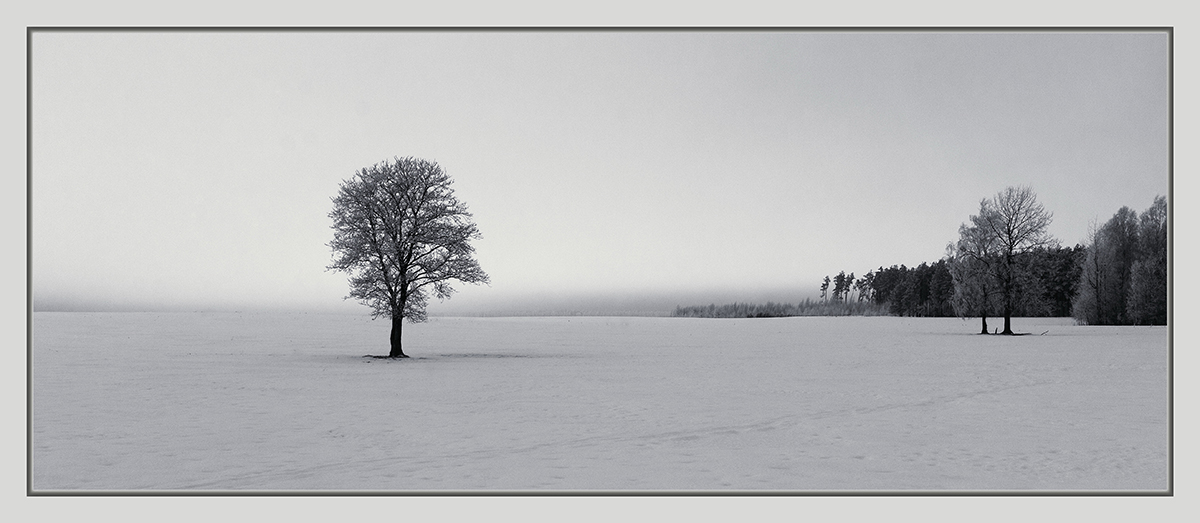 Ruhig, nur beruhigen