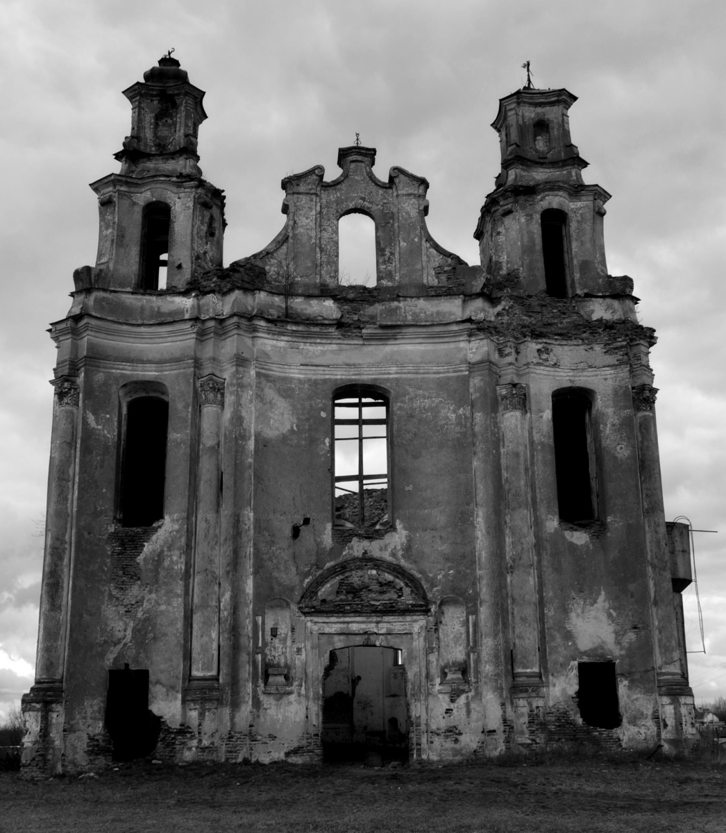 Und auf Steinen Bäume