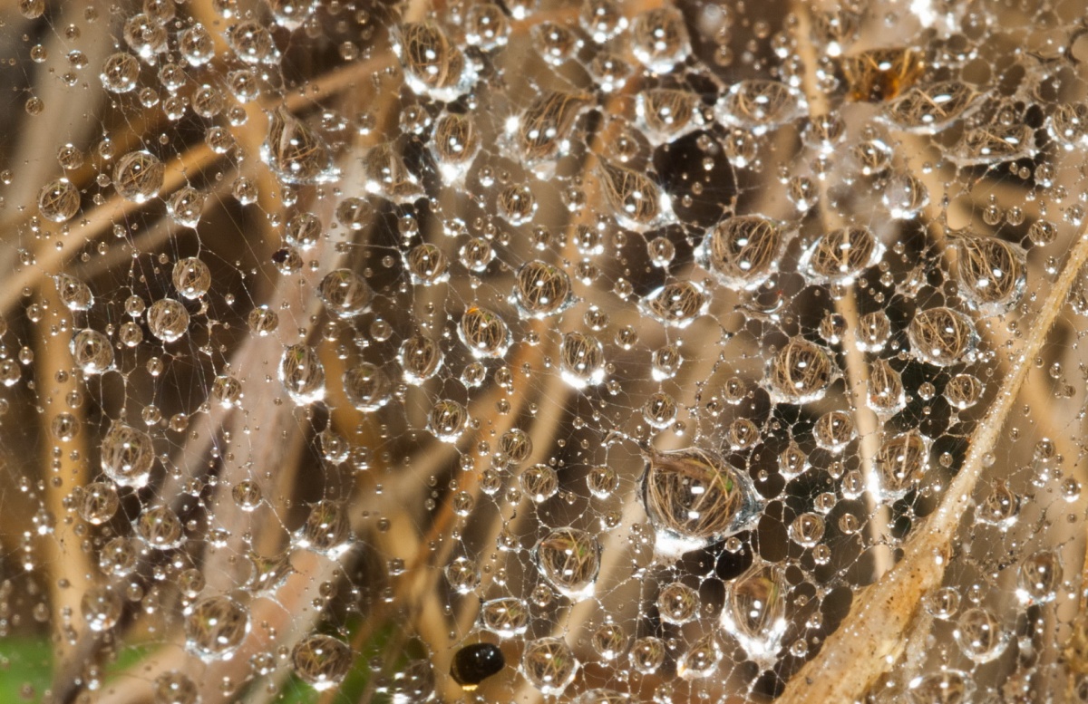 Es ist nur ein Sommer regen