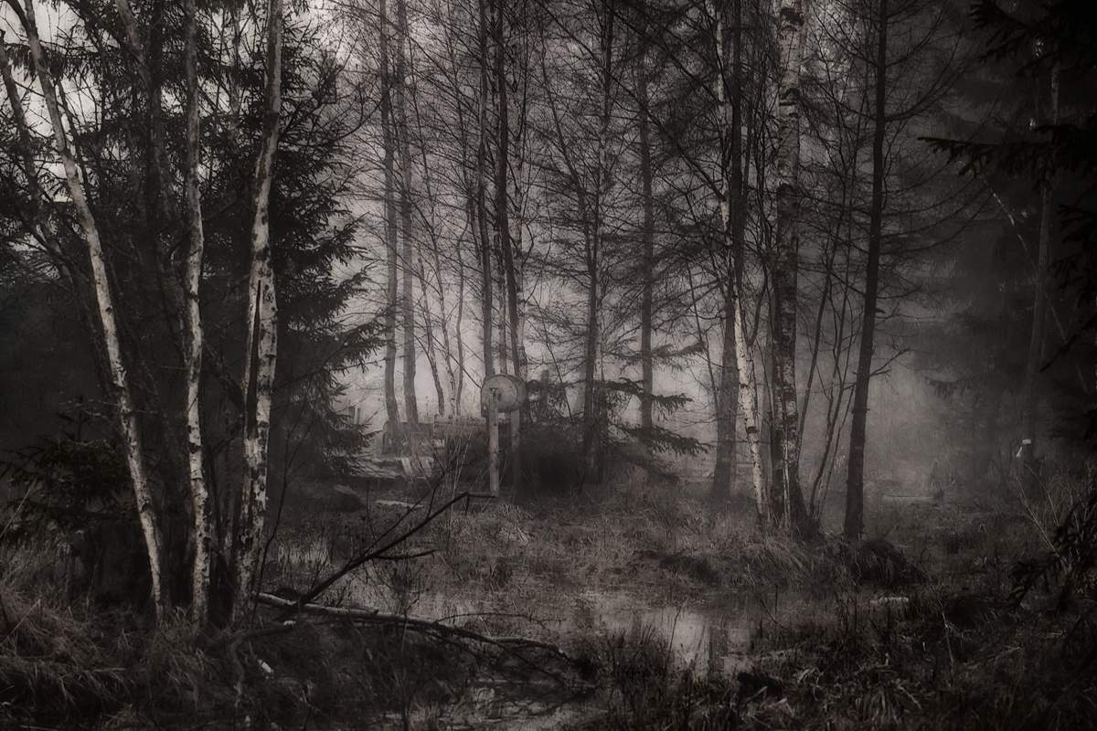 ..tropoyu Stalker ..