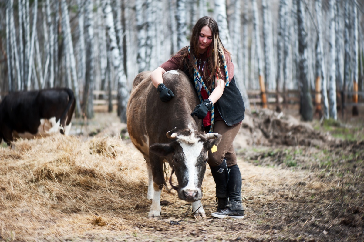 Frühling 2015 Planner.