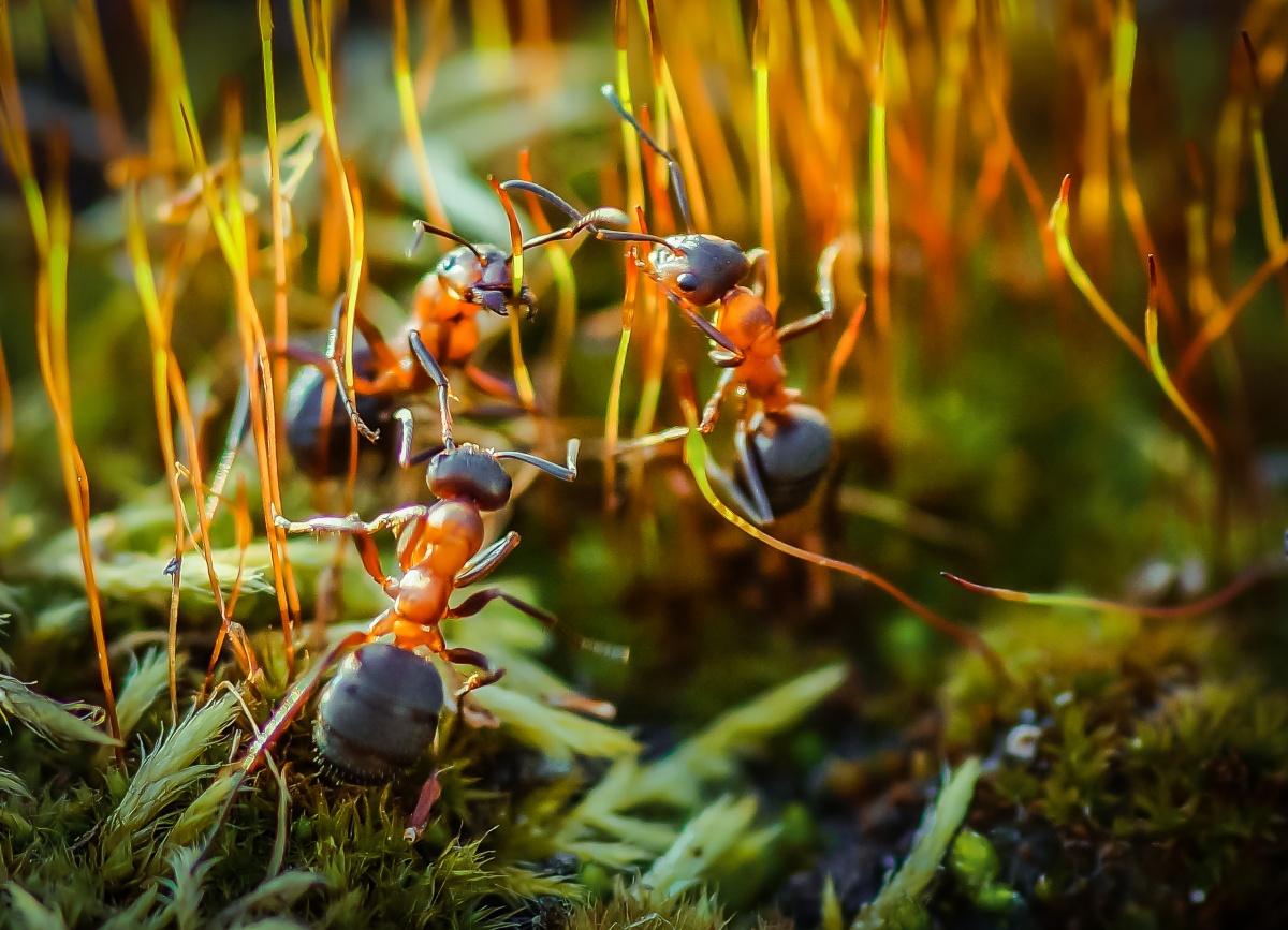 Erstellen Sie eine neue Straße ...