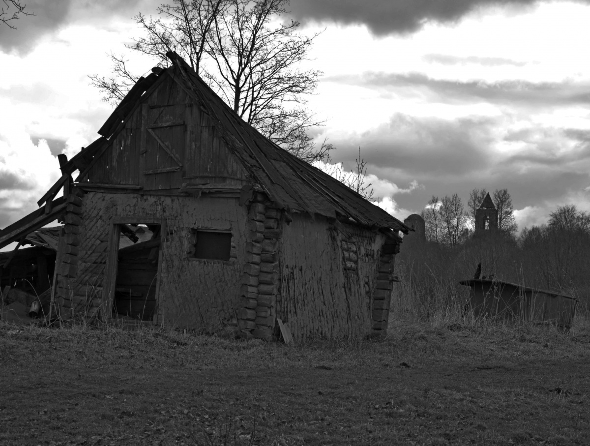 Und auf Steinen Bäume