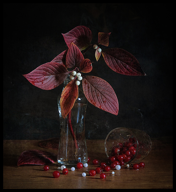 Haben Augen in den Farben ...