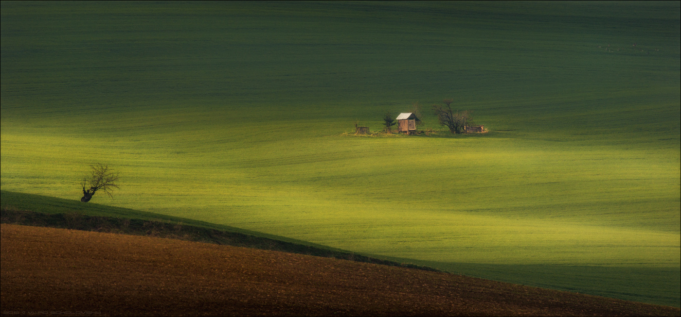 / Das Haus, das nicht ... /
