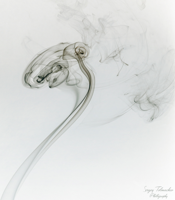 Finden Sie eine Maus! Das ist, was es genau ist und es ist nicht Photoshop!