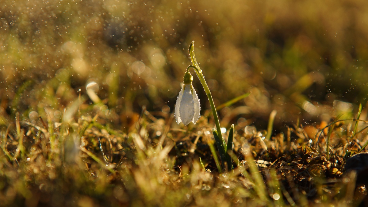 Ein wenig von der Magie ...