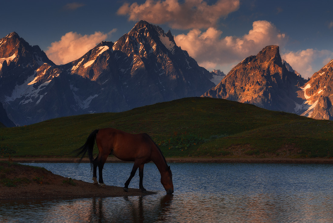 Fangen Sie den Augenblick