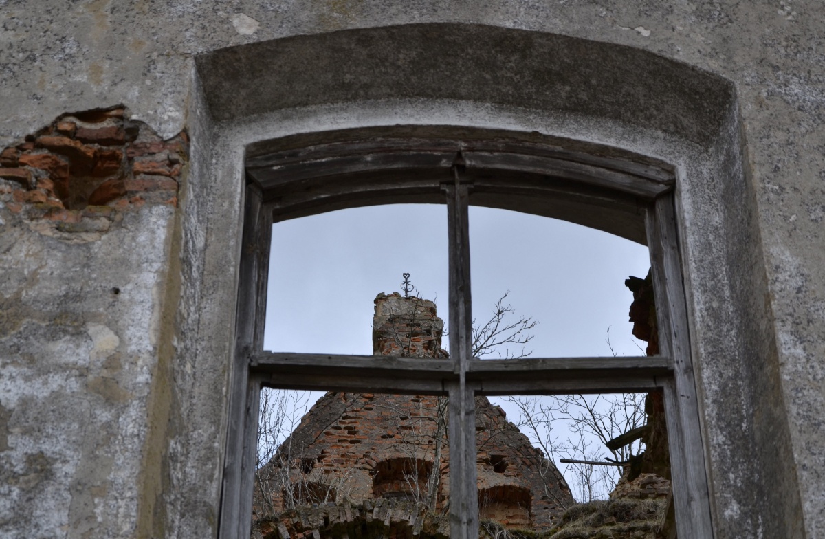 Und auf Steinen Bäume