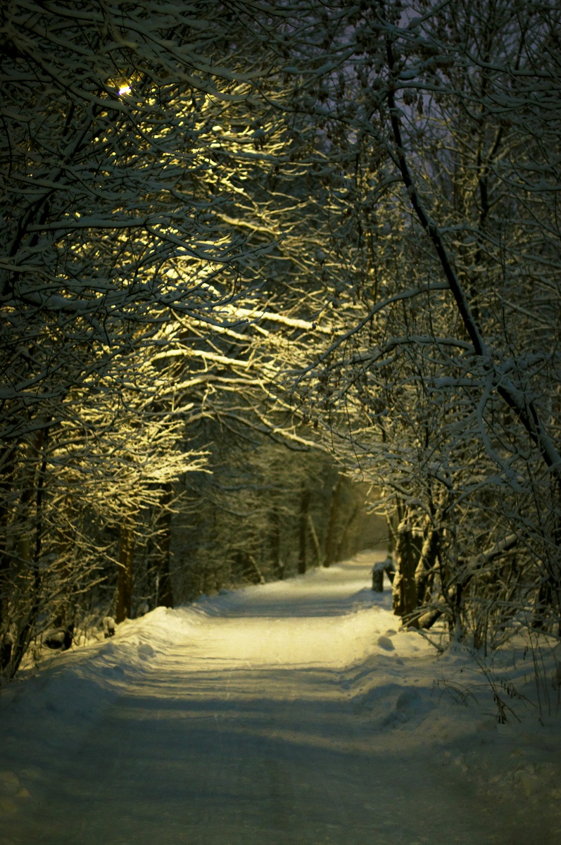 Winter alley