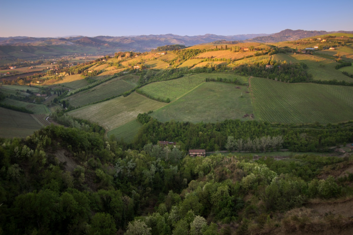 Guten Morgen, Italy!