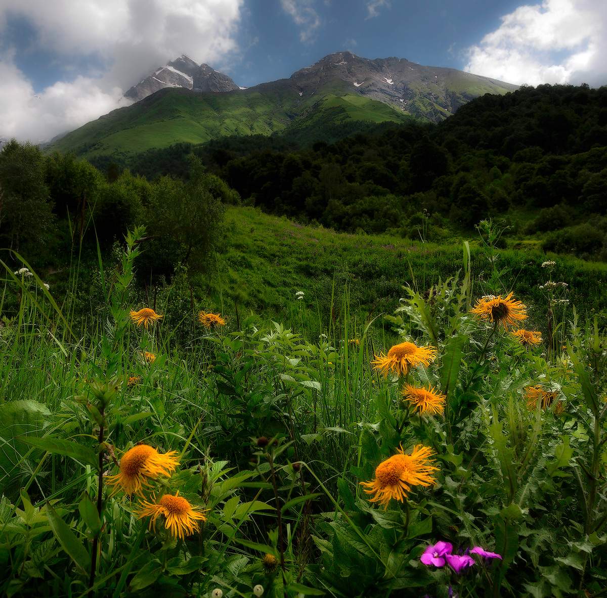 Was für eine wunderbare Welt ... Schau ...