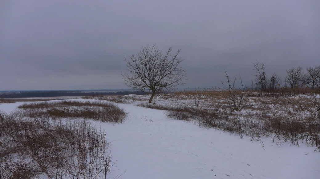 Winterlandschaft mit Baum