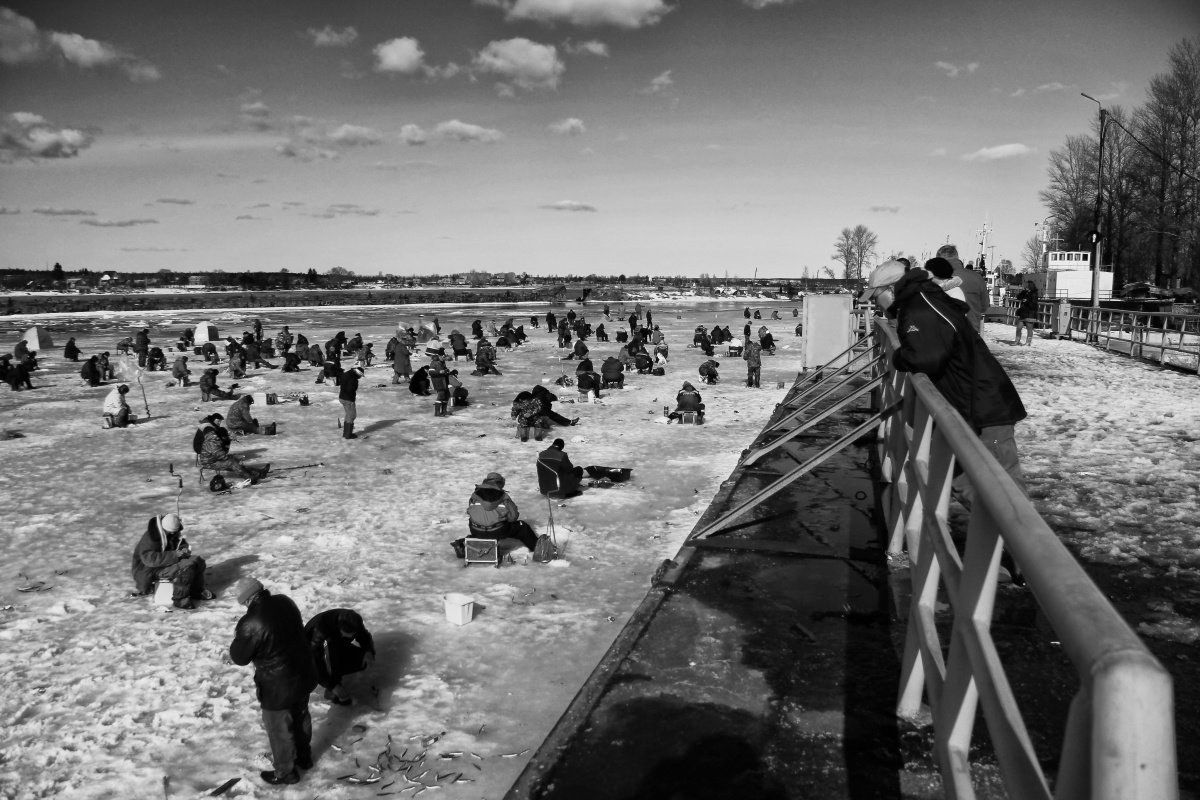 Mitglieder und Beobachter