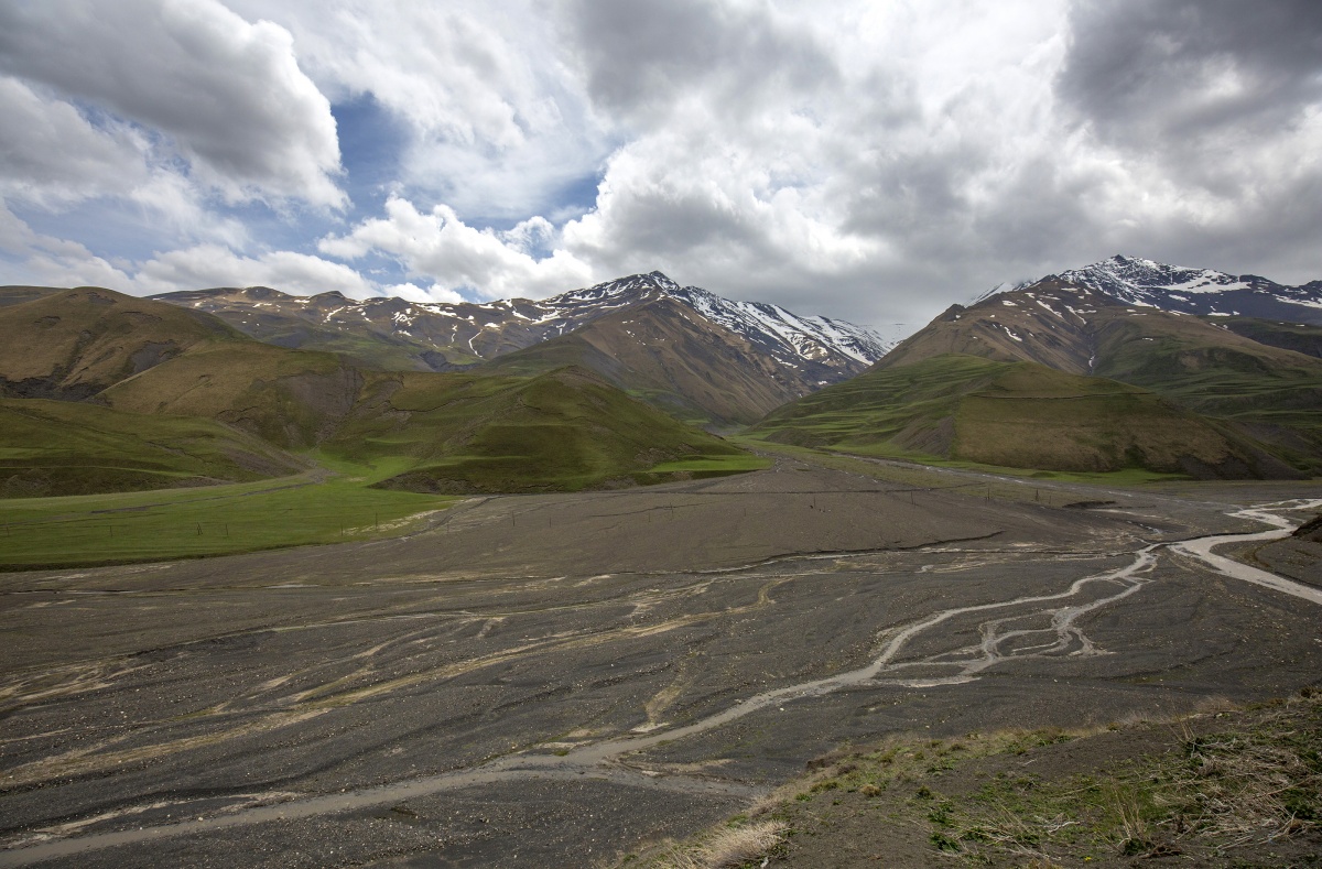 Die Feder Aufstand der Farben