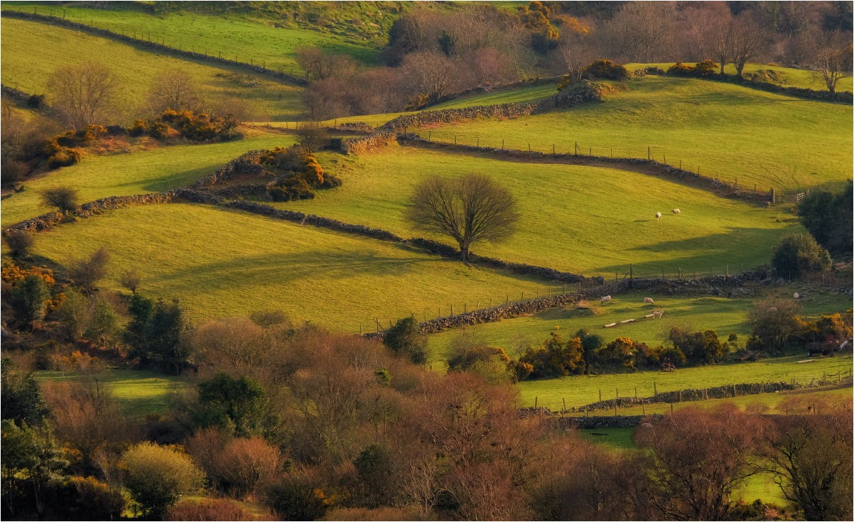 ... An den Hängen des Frühling ...
