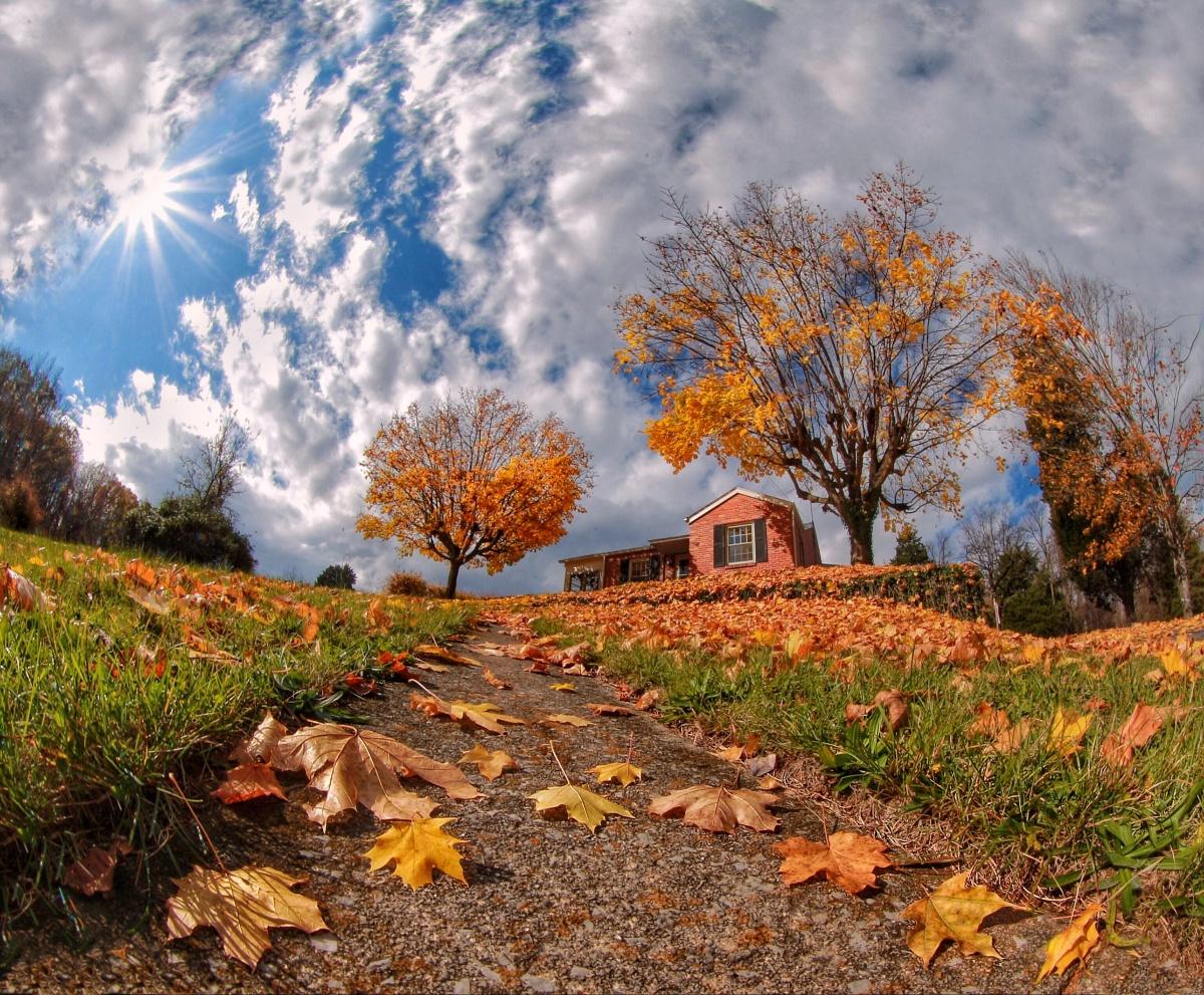 It's a Wonderful World...