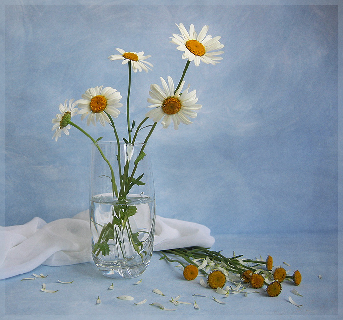 Es gibt keine trauriger Geschichte in der Welt ...