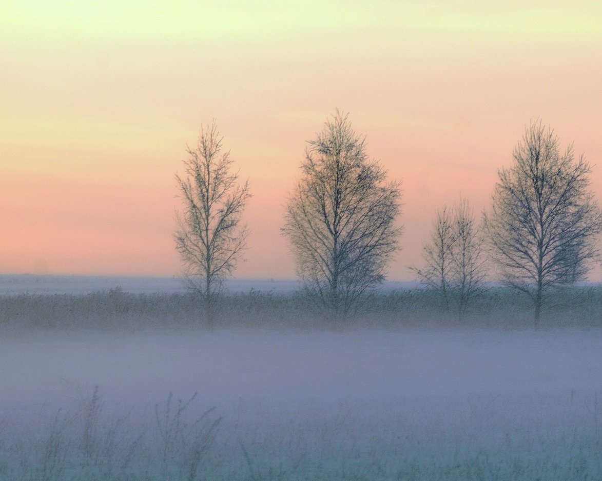 Frosty, Sonnenuntergang.