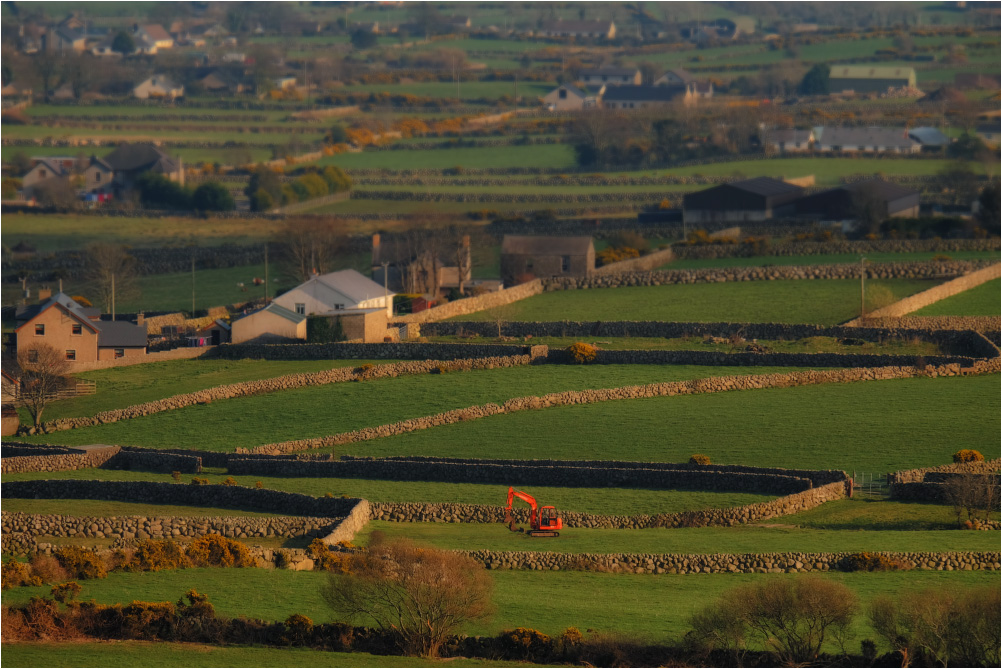 ...among stone walls...