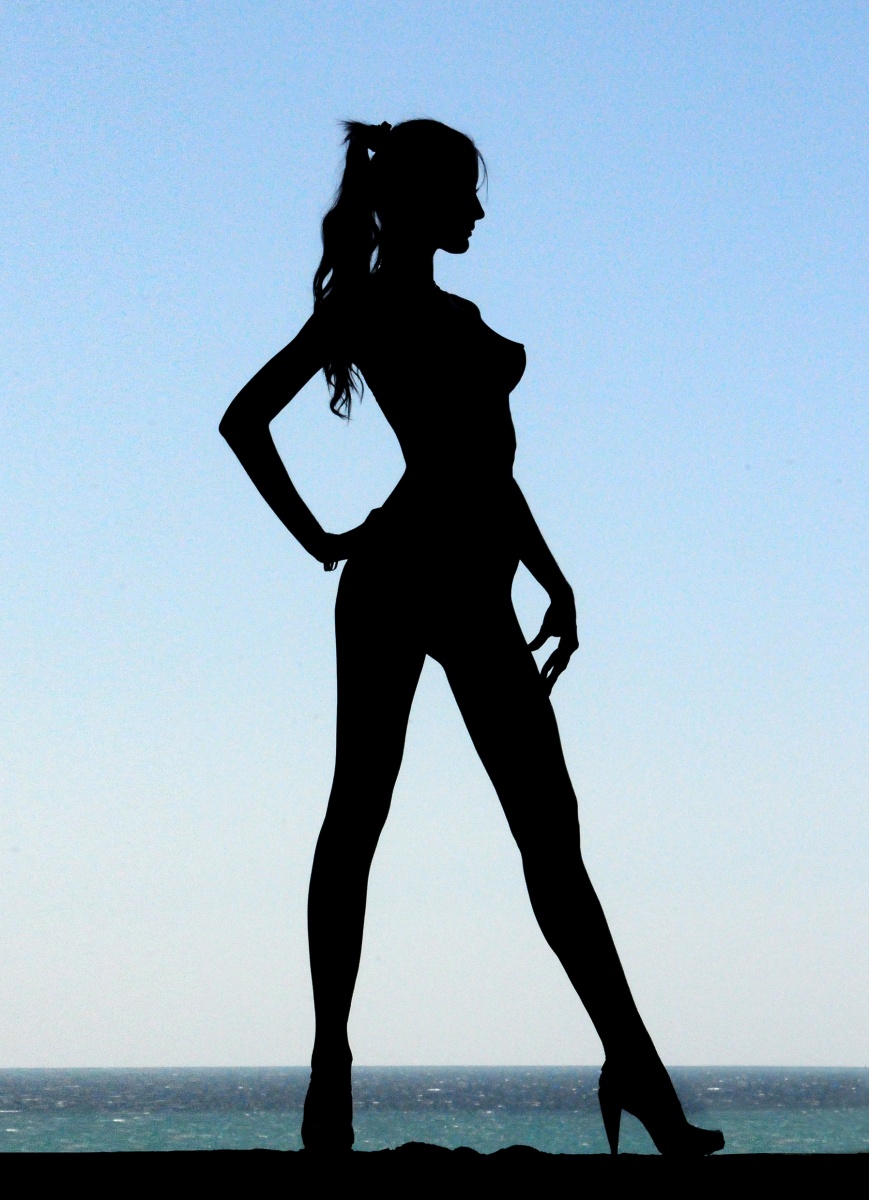 Silhouette Modell