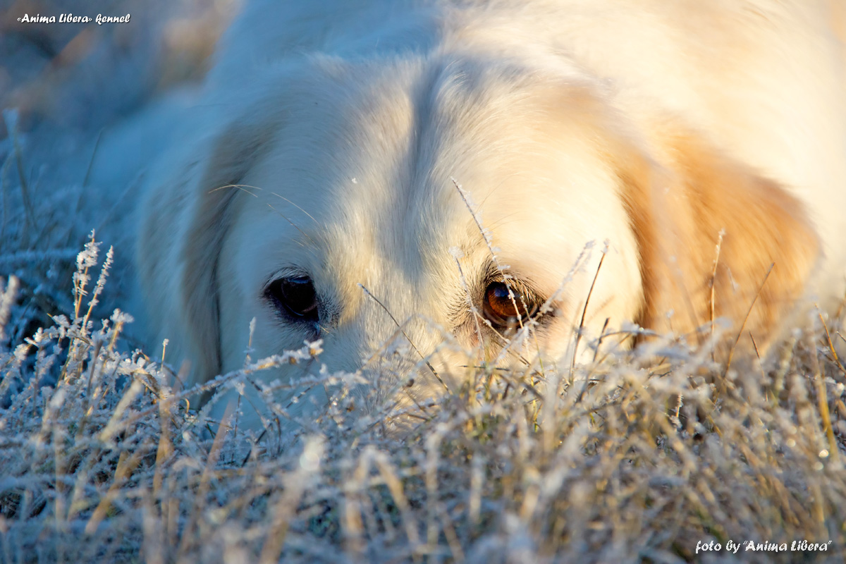 Der Spiegel der Seele))))