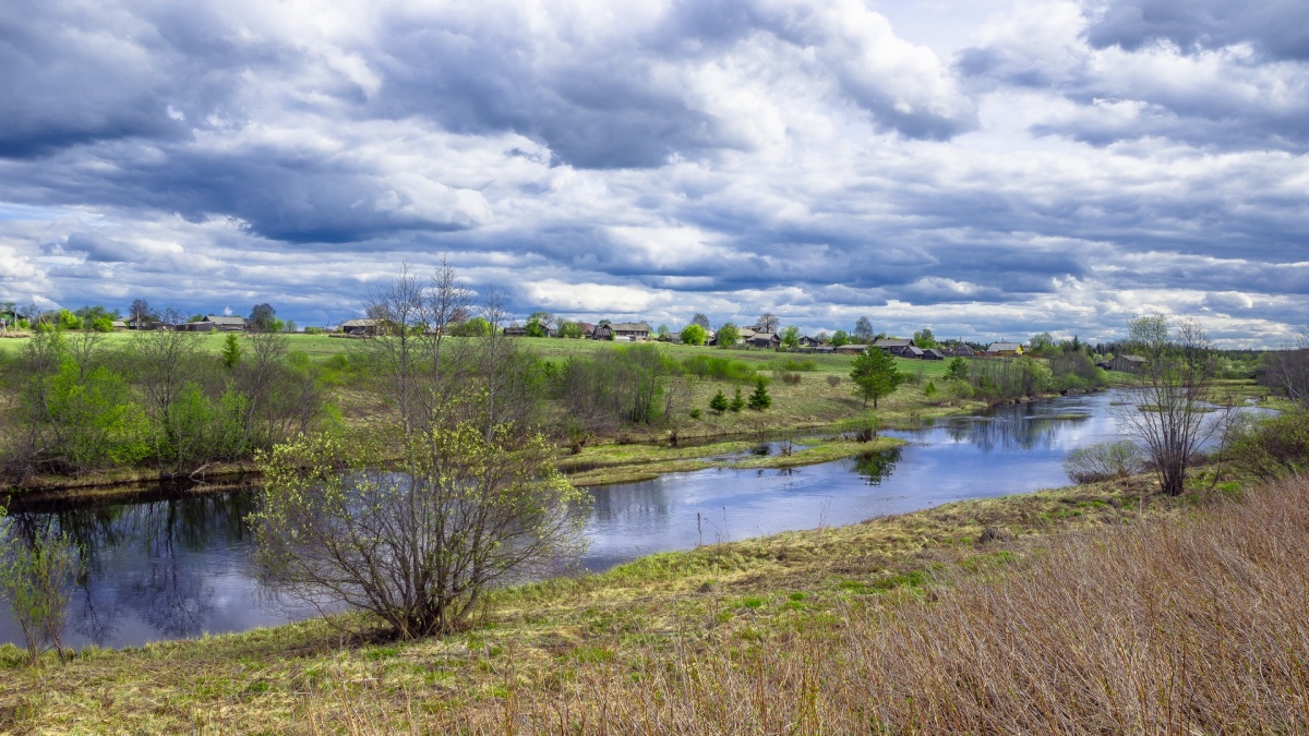 Die erste grüne ...