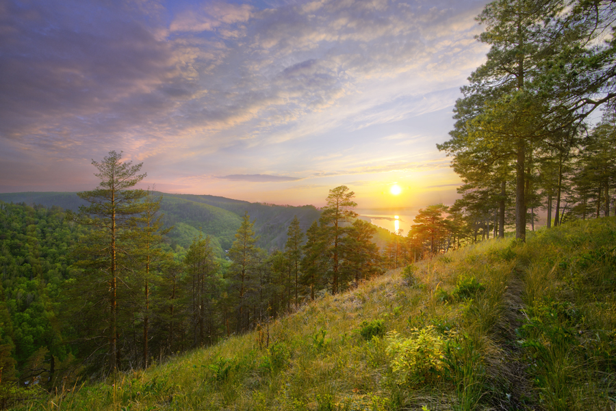 Ein Naturschutzwegen.