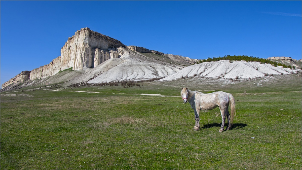 Belogorsk Motive ...