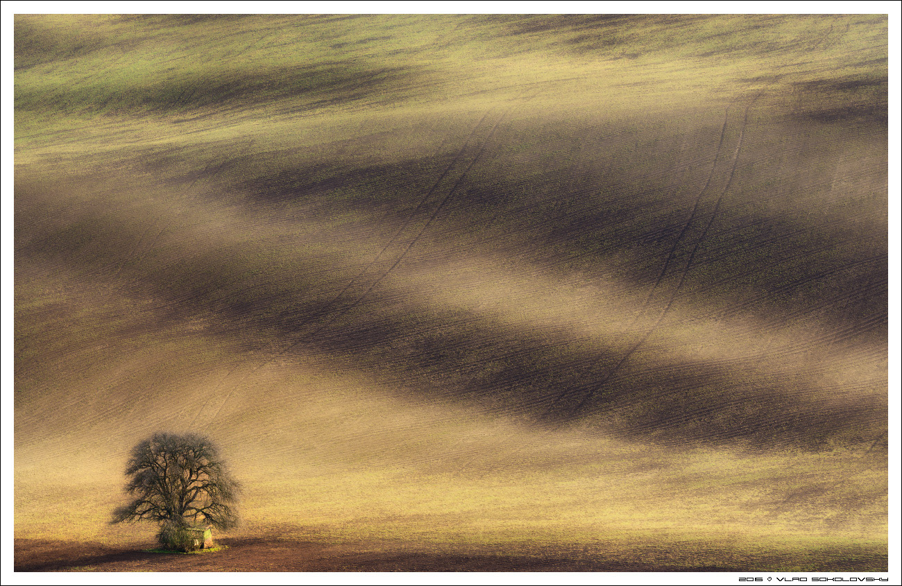 / Frühling in Südböhmen /