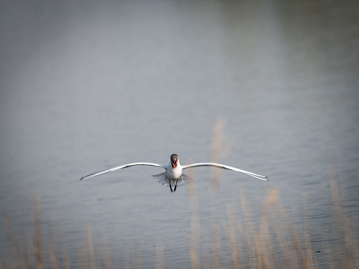 Klappen freigegeben, bereit für die Bepflanzung!