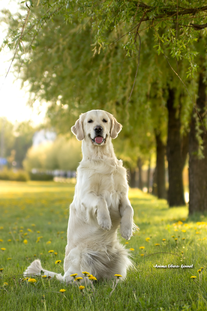 Das Lächeln wird alles erhellen)))