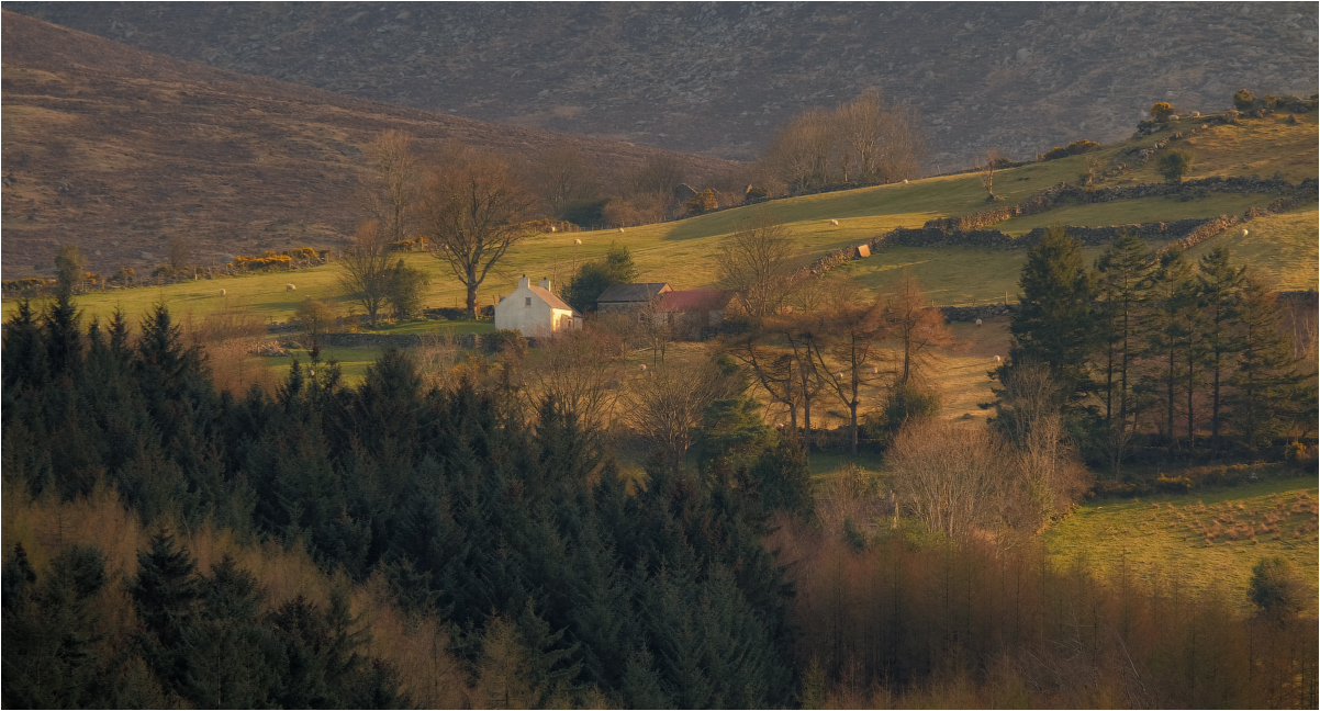 ... In den Vororten ...