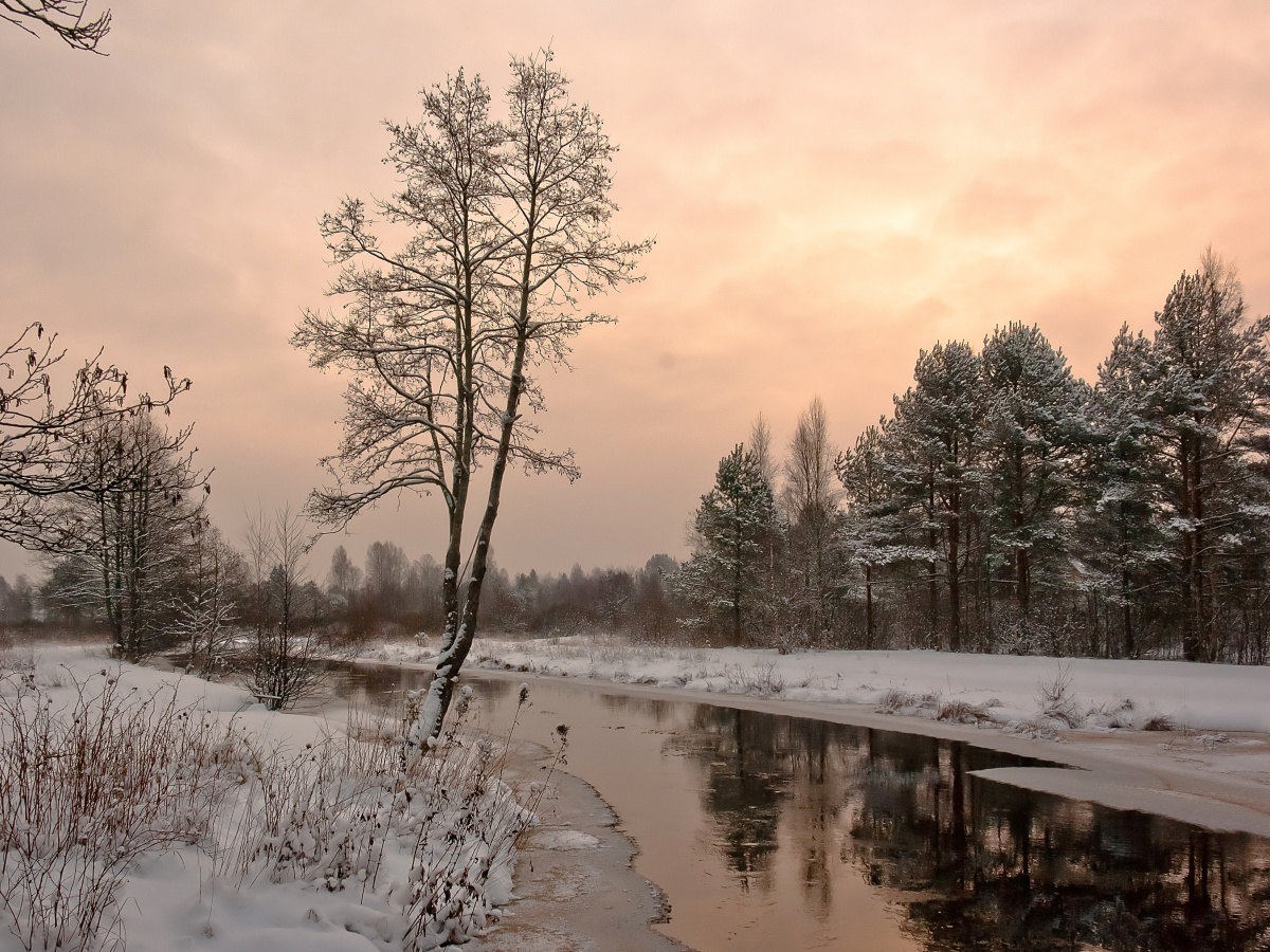 Winterlandschaft mit Fluss