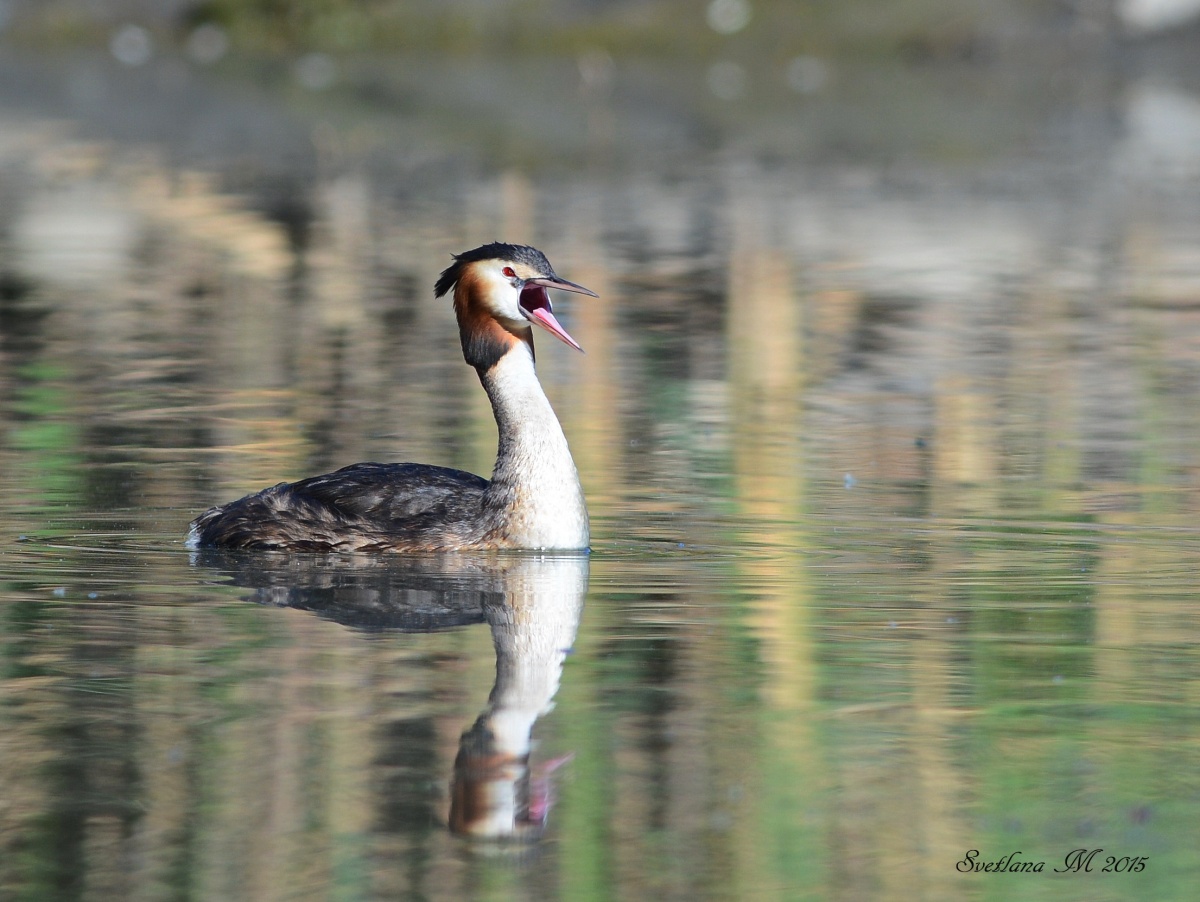 In der Sonne getragen.