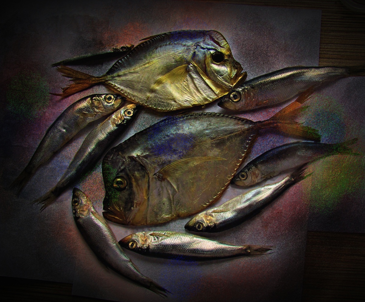 * * * Noch Fisch-Tanz