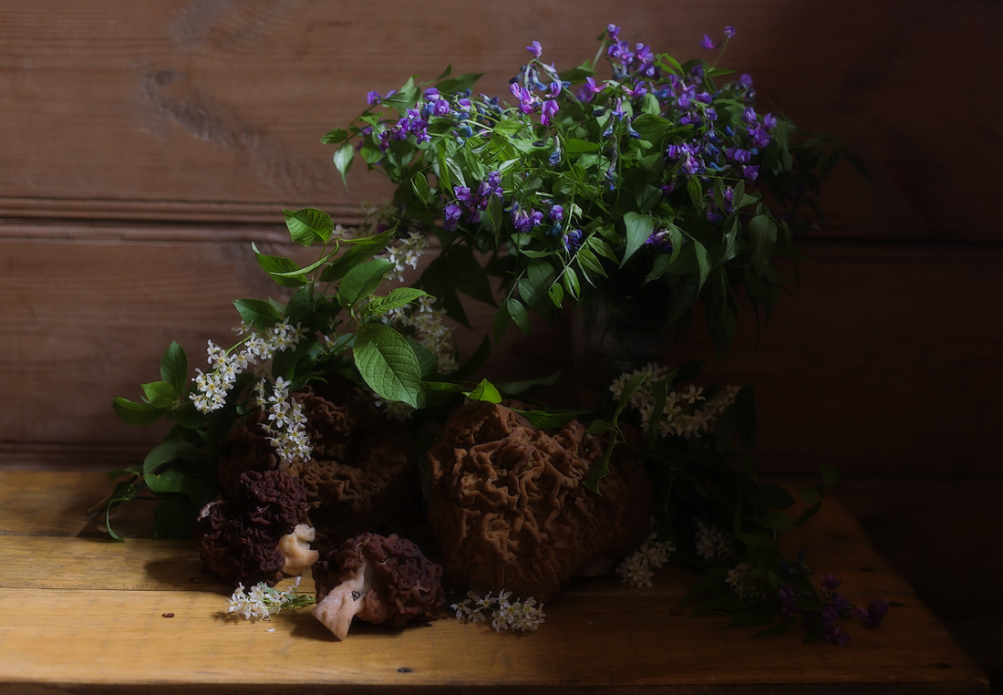 Während der Kirschblüten