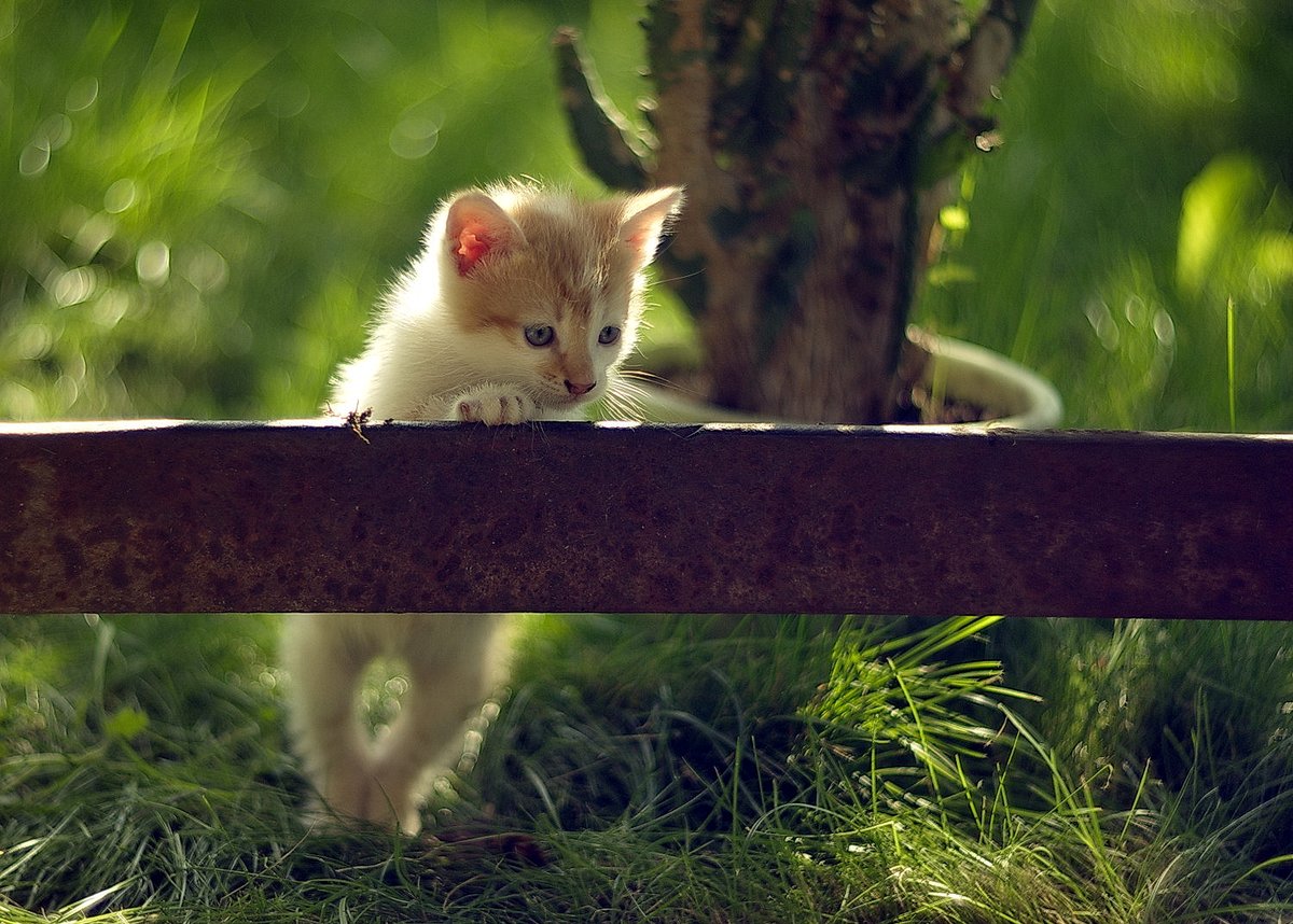 Die erste Barriere ..)